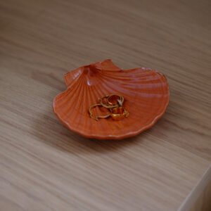 Terracotta Shell